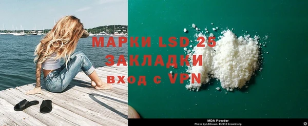 PSILOCYBIN Майский