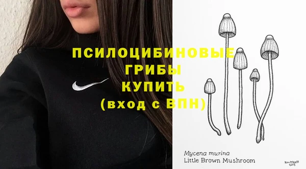 PSILOCYBIN Майский