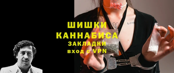 PSILOCYBIN Майский
