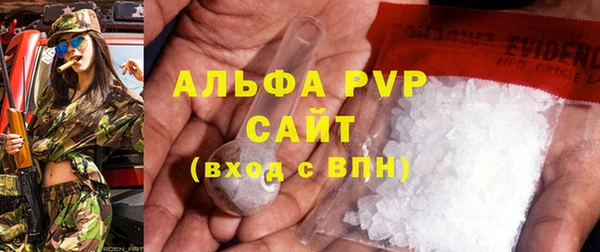 PSILOCYBIN Майский