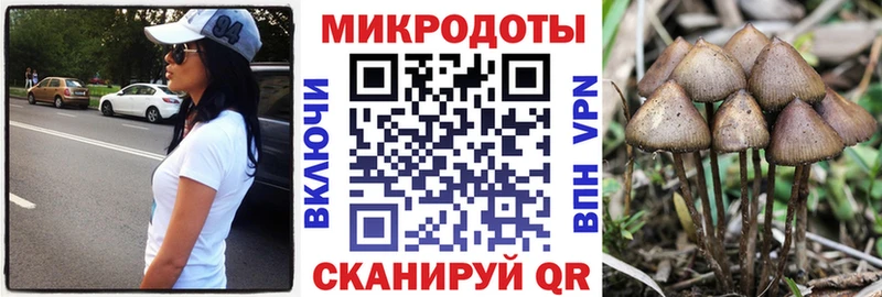 Псилоцибиновые грибы мицелий  blacksprut маркетплейс  Няндома 